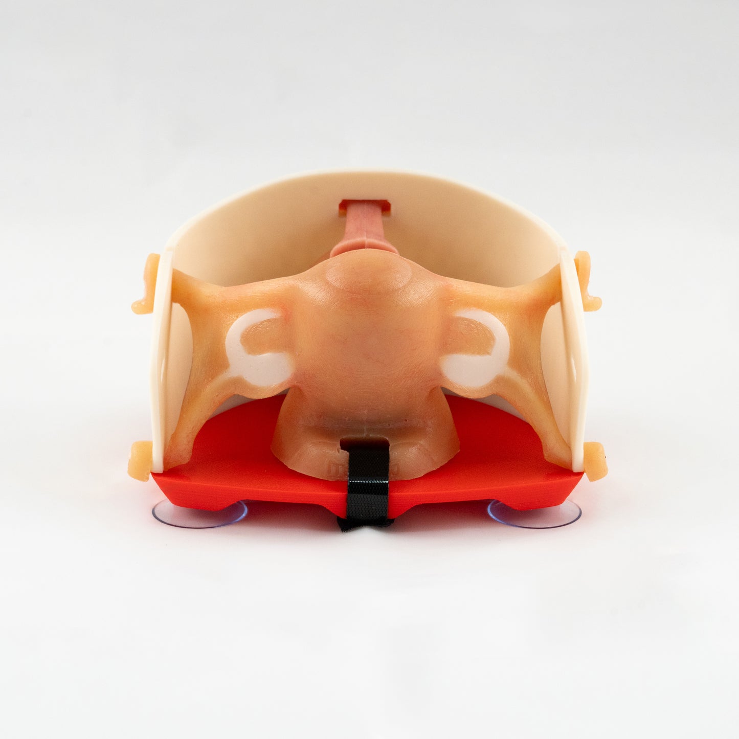 Gynecology training - Hysterectomy Simulator
