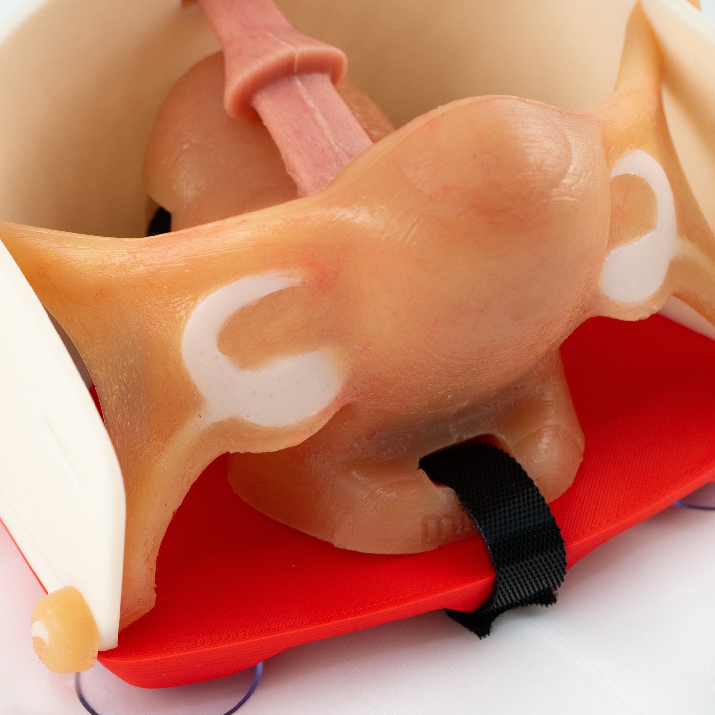 Gynecology training - Hysterectomy Simulator