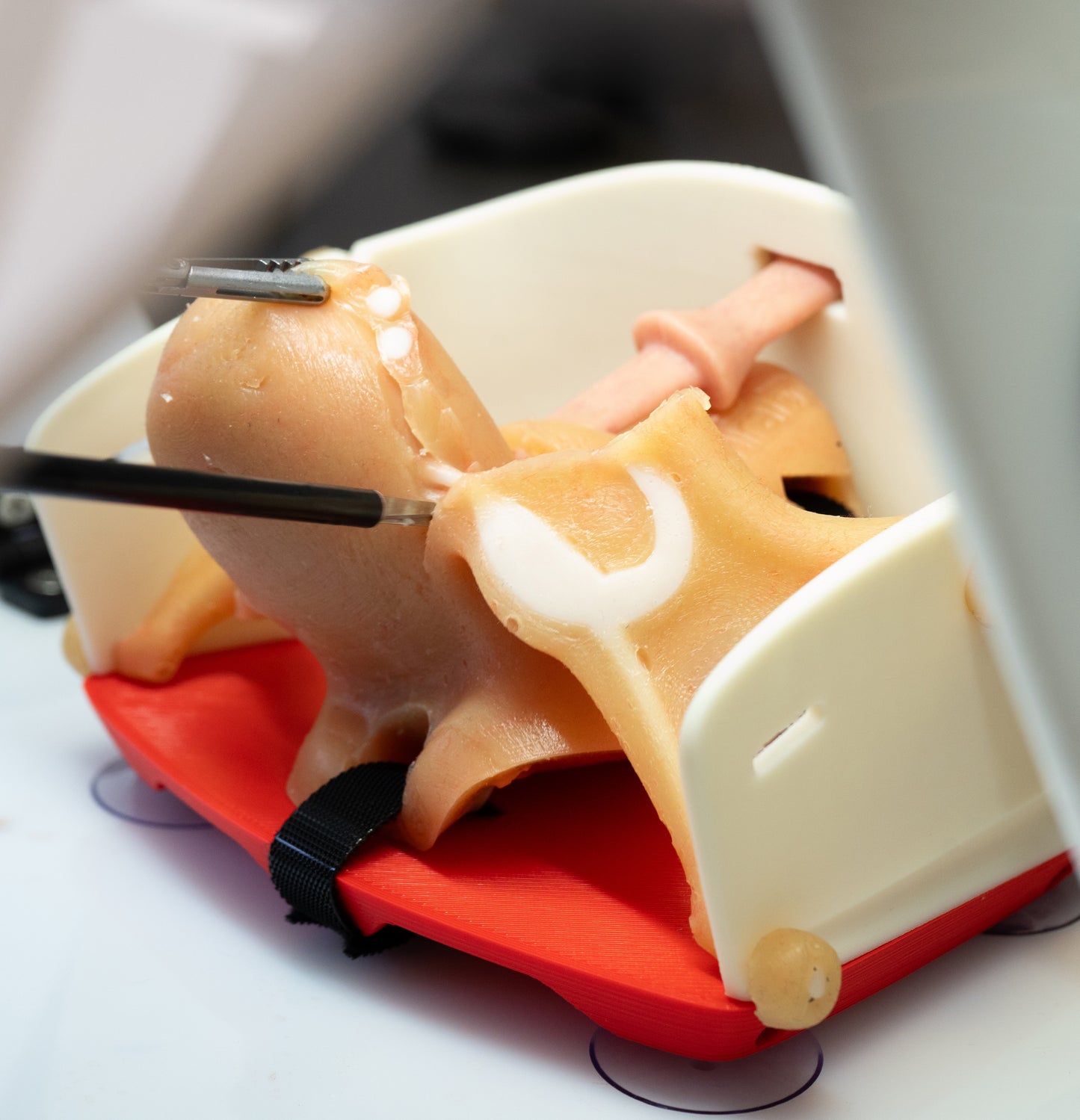 Gynecology training - Hysterectomy Simulator