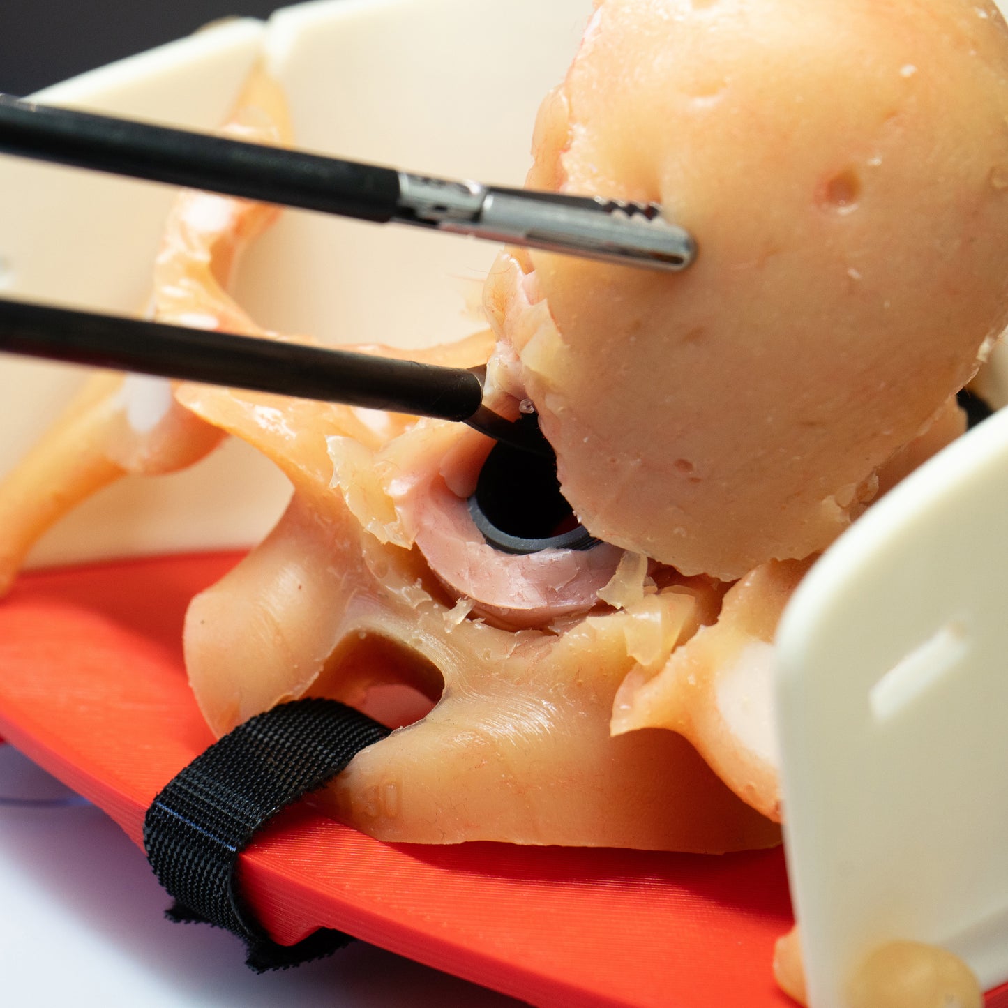 Gynecology training - Hysterectomy Simulator