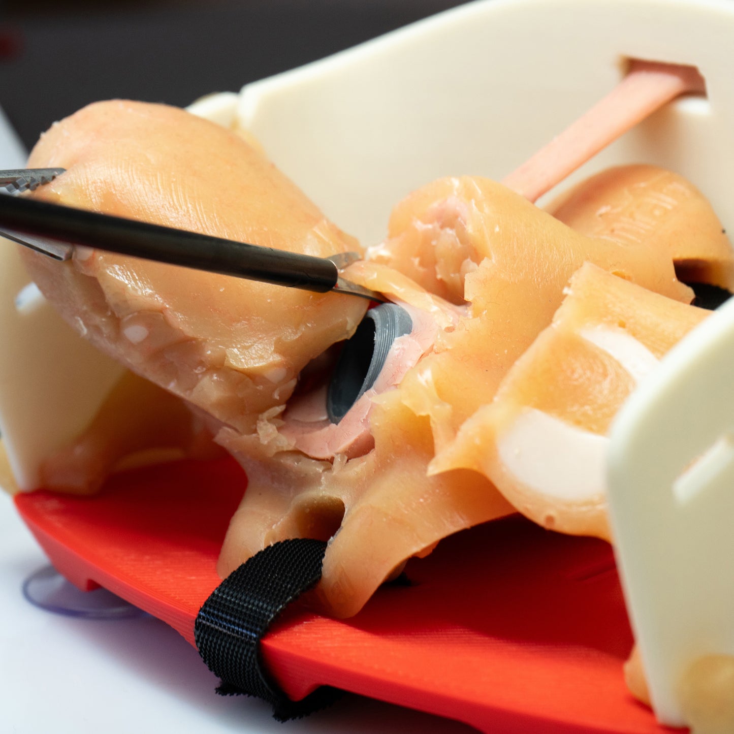 Gynecology training - Hysterectomy Simulator