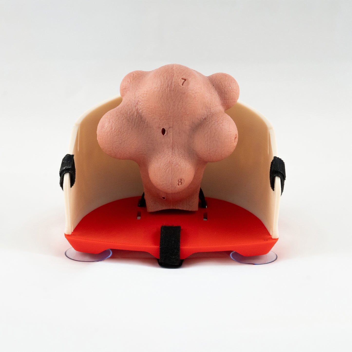 Gynecology training - Myomectomy Simulator