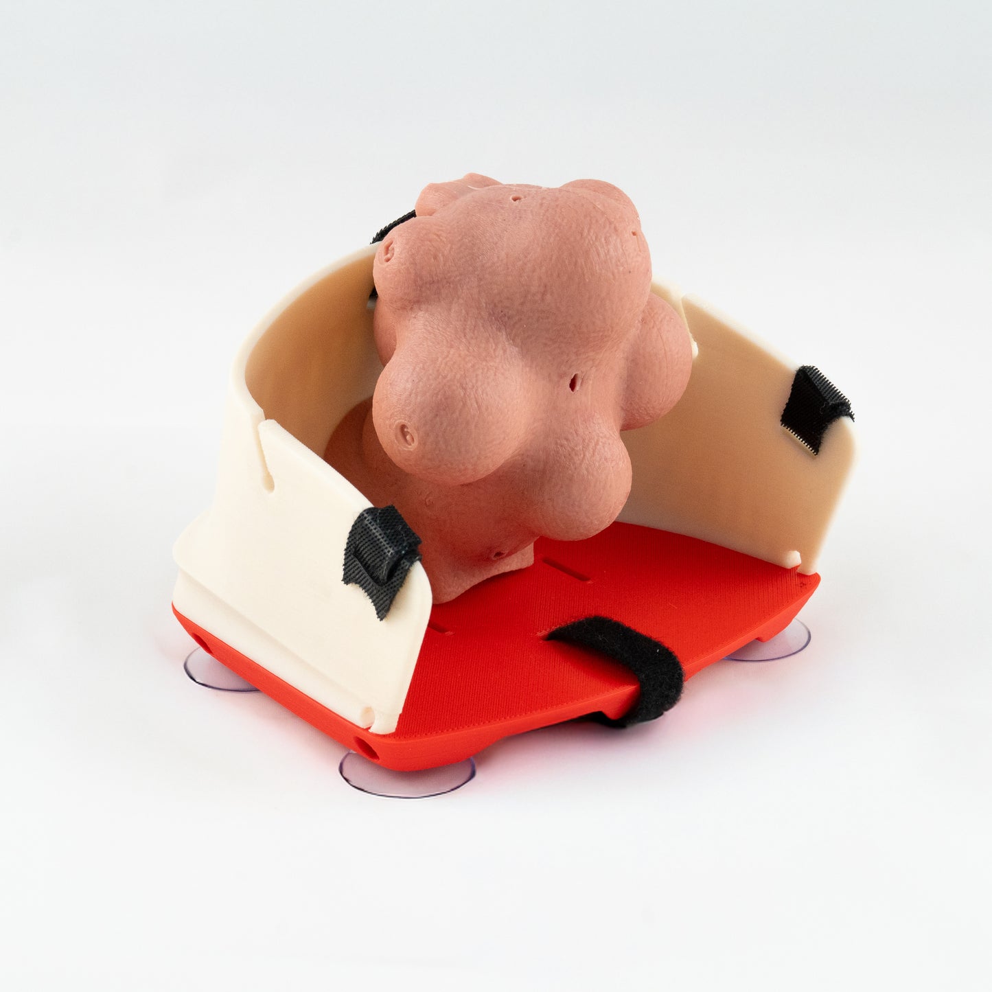 Gynecology training - Myomectomy Simulator