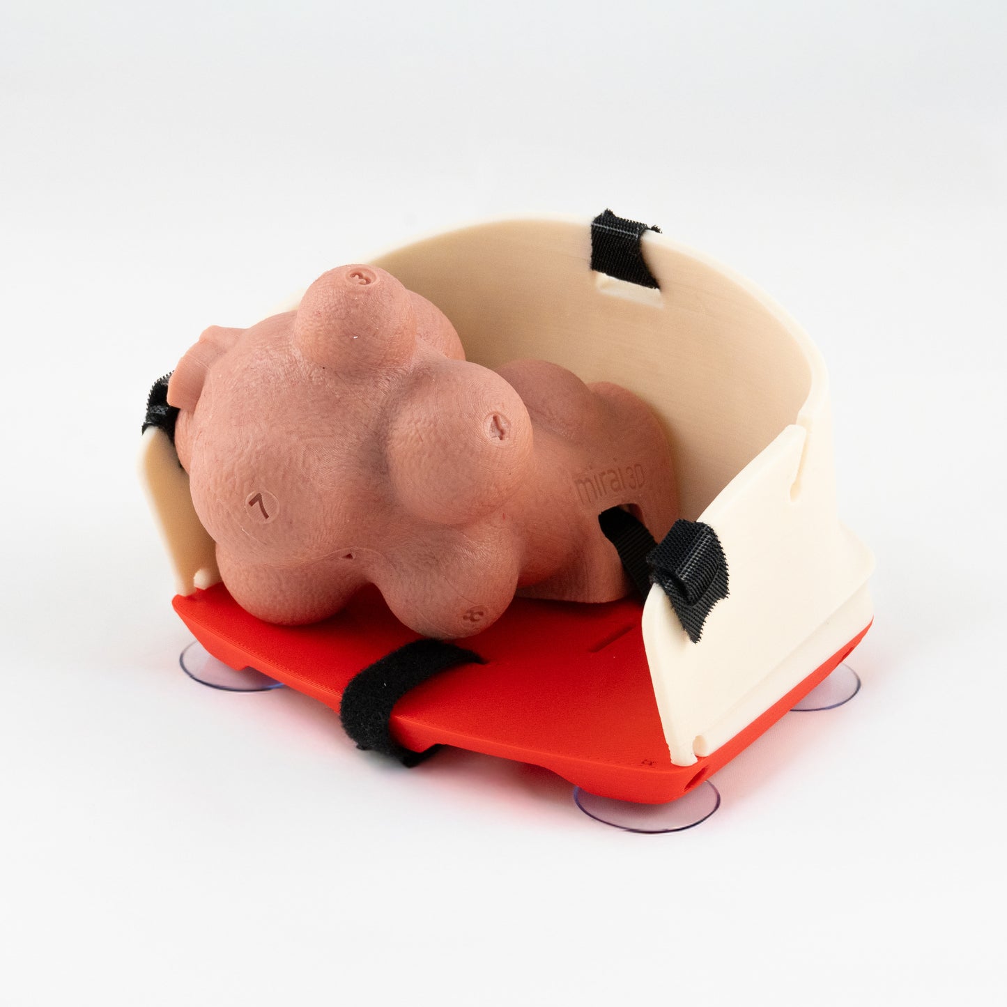 Gynecology training - Myomectomy Simulator