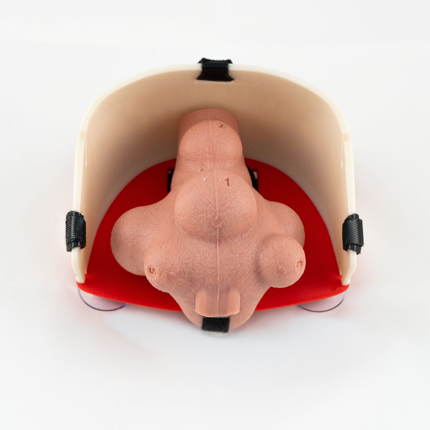 Gynecology training - Myomectomy Simulator