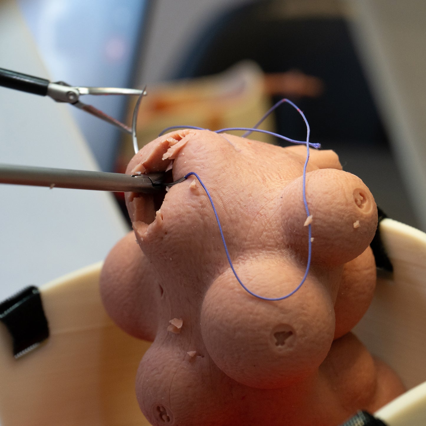 Gynecology training - Myomectomy Simulator