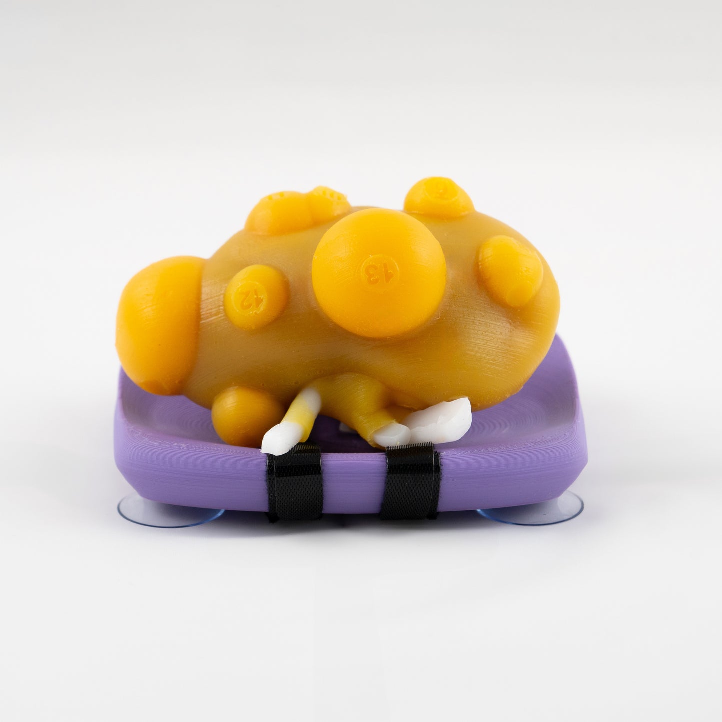 Kidney model - Partial Nephrectomy Simulator