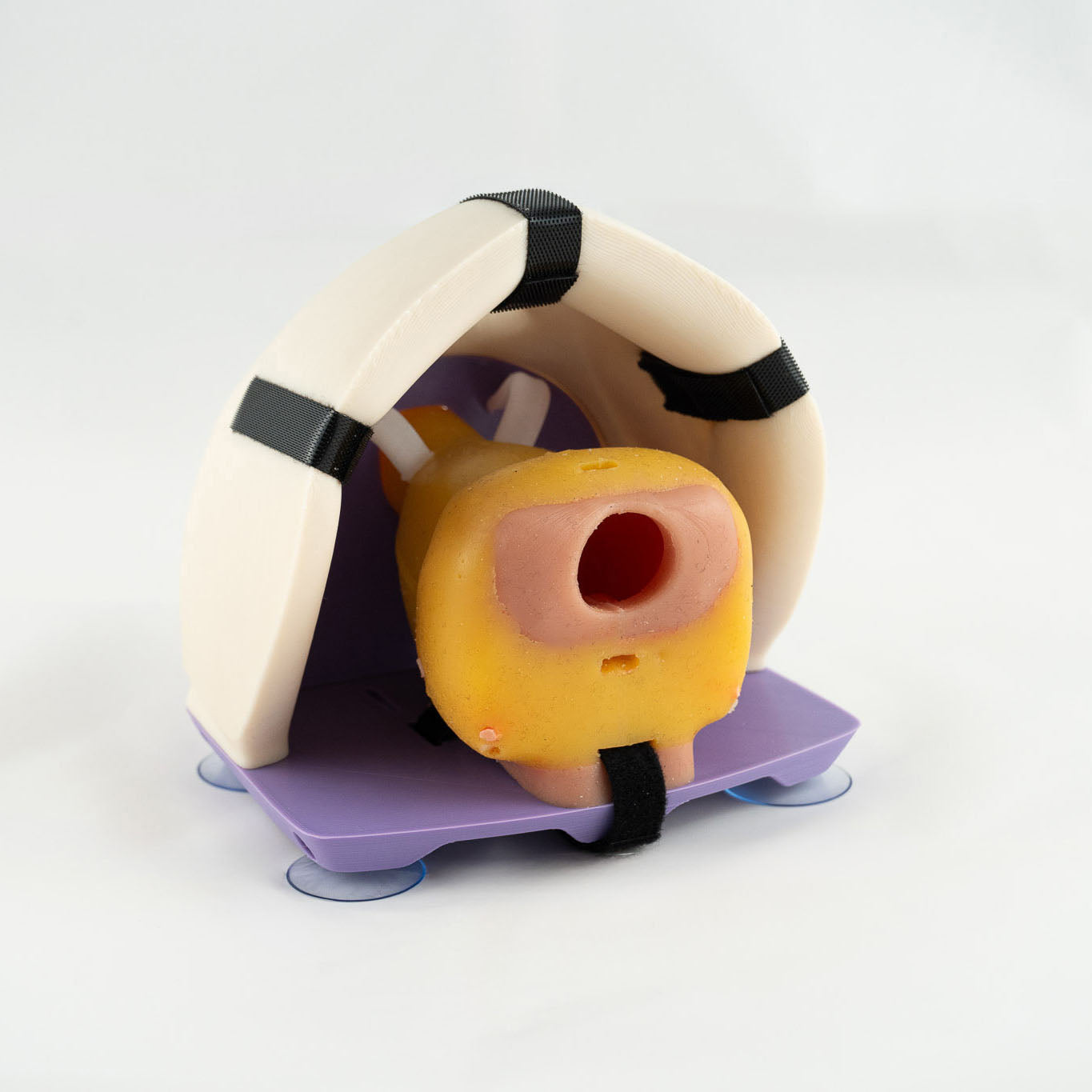 Prostate model - Radical Prostatectomy Simulator
