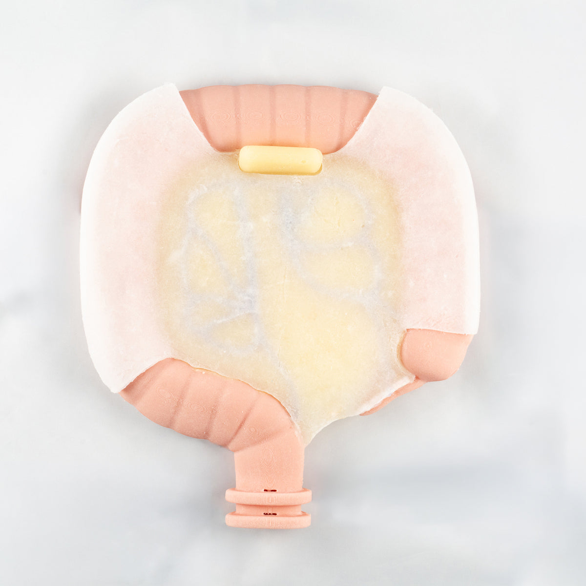 Colorectal Training - Colon Model