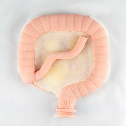 Colorectal Training - Colon Model