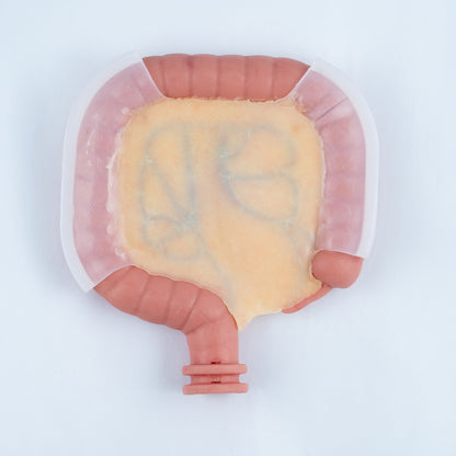 Colorectal Training - Colon Model