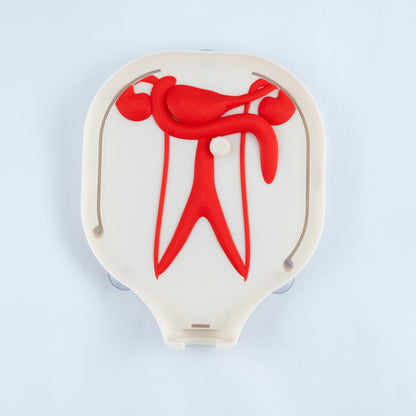 Colorectal Training - Colon Model