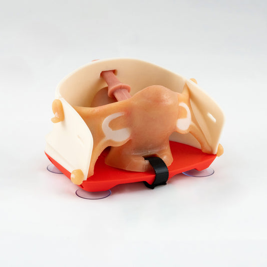 Gynecology training - Hysterectomy Simulator