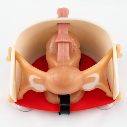 Gynecology training - Hysterectomy Simulator