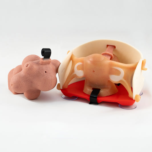 Gynecology training Kit