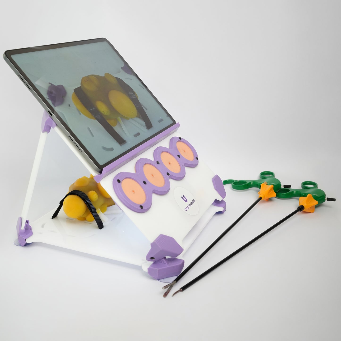 Partial Nephrectomy - Training Kit