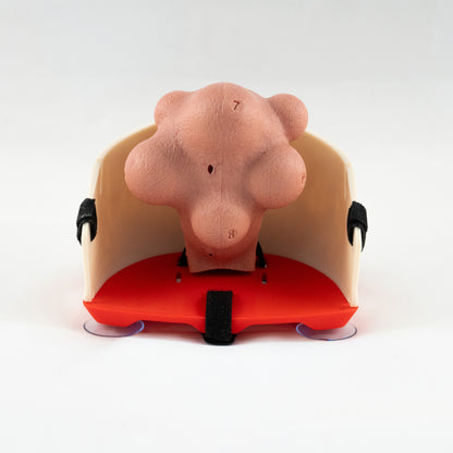 Gynecology training - Myomectomy Simulator