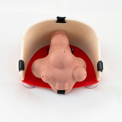 Gynecology training - Myomectomy Simulator