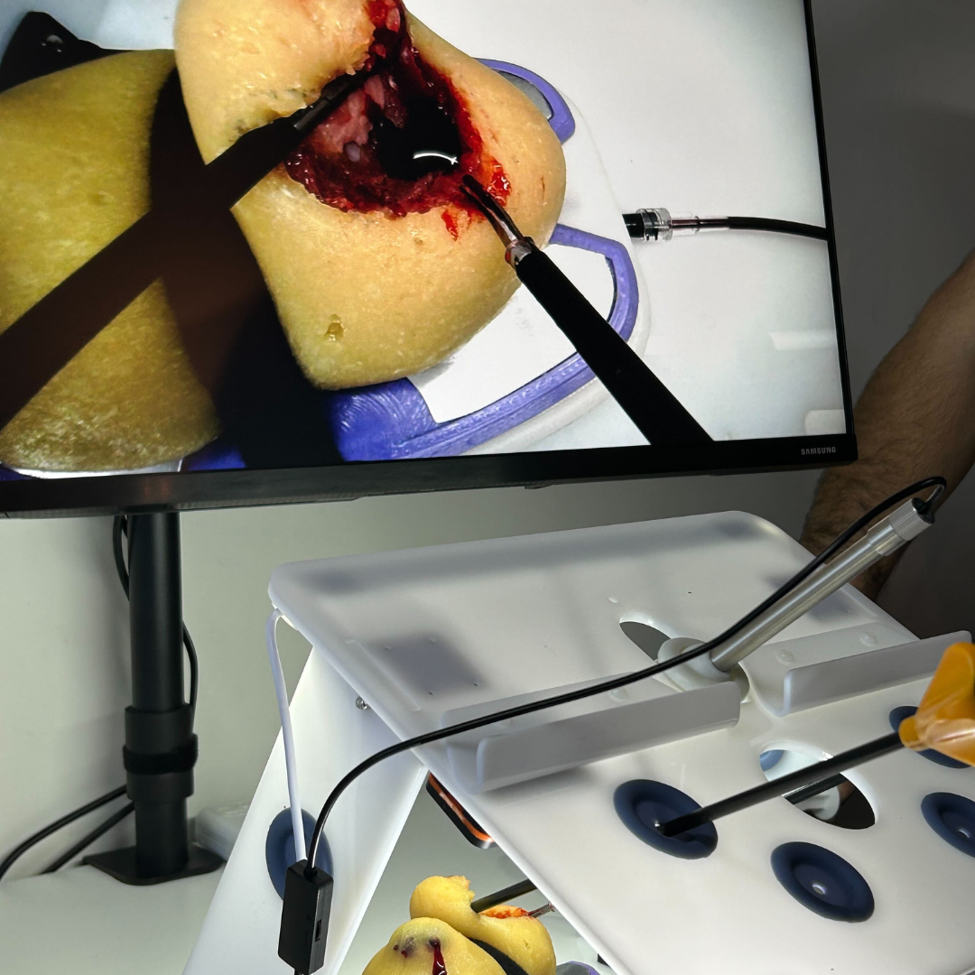 Perfused Model - Partial Nephrectomy Simulator