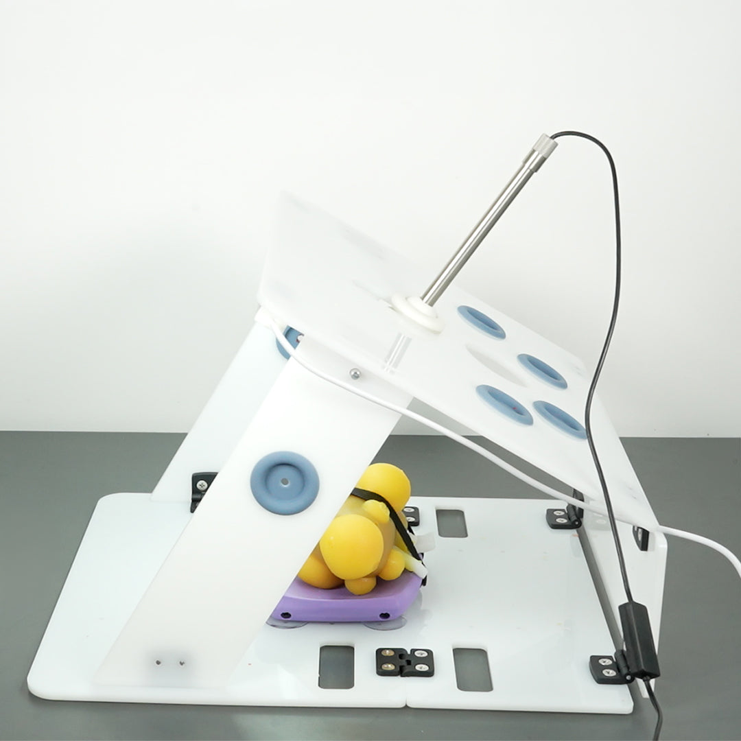 Partial Nephrectomy - Training Kit