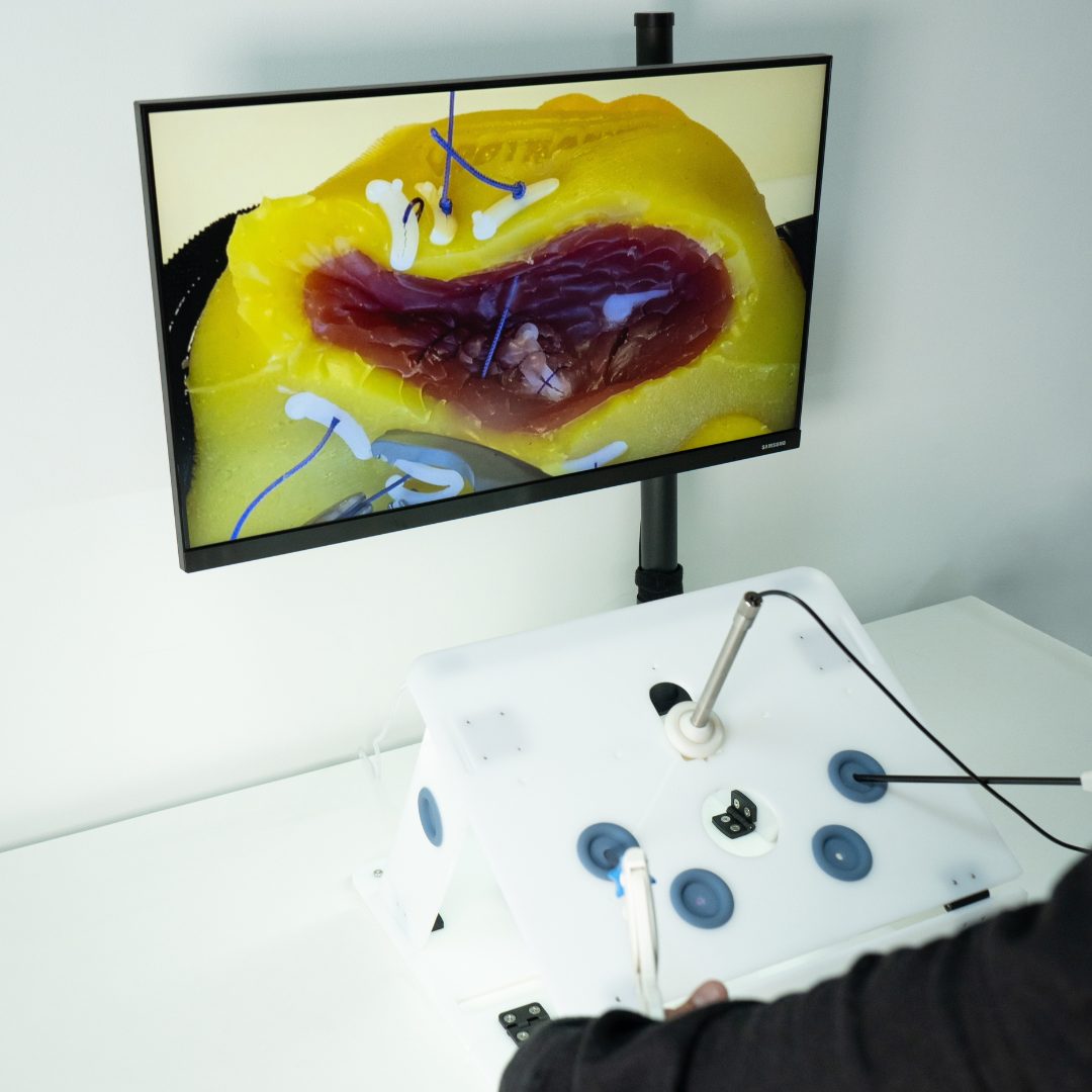 Partial Nephrectomy - Training Kit