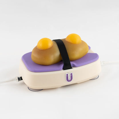 Perfused Model - Partial Nephrectomy Simulator