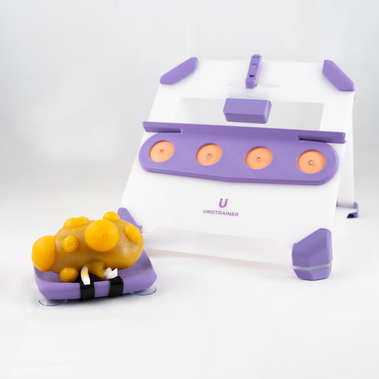 Partial Nephrectomy - Training Kit