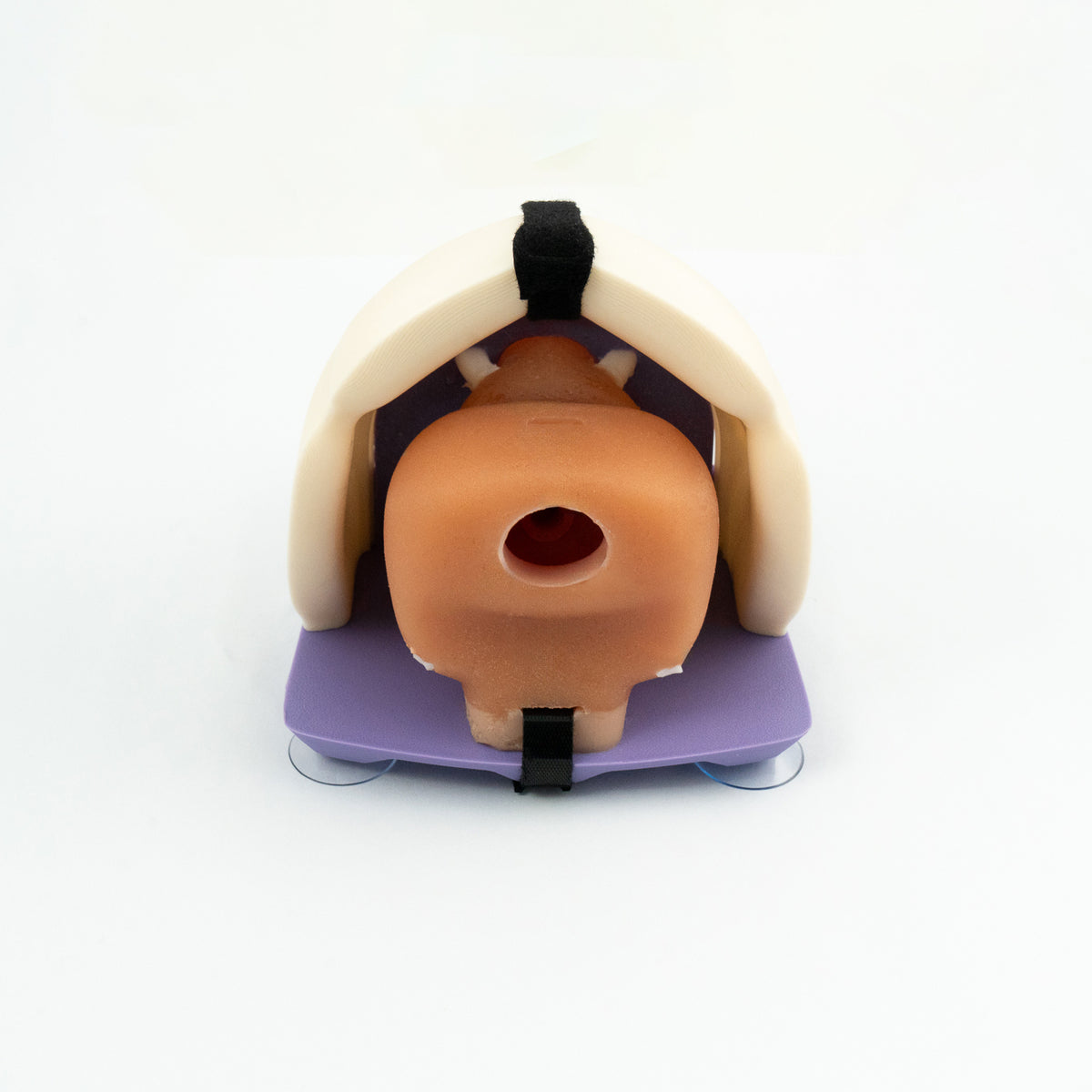 Prostate model - Radical Prostatectomy Simulator
