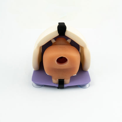 Prostate model - Radical Prostatectomy Simulator