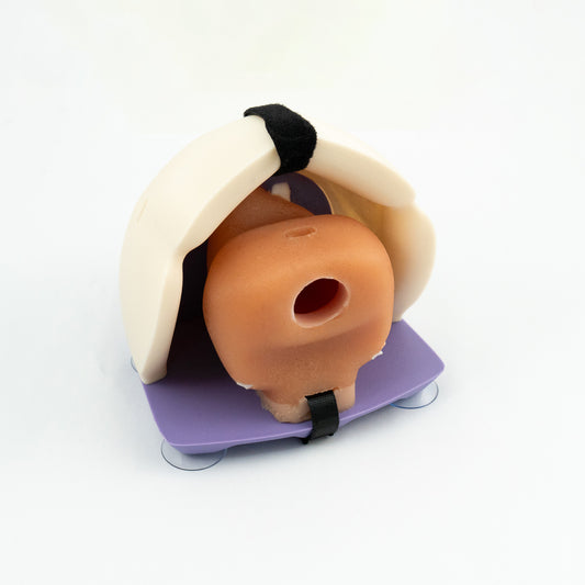 Prostate model - Radical Prostatectomy Simulator