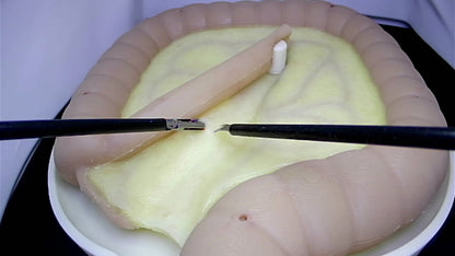 Colorectal Training - Colon Model
